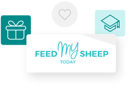 Feed My Sheep Today Image